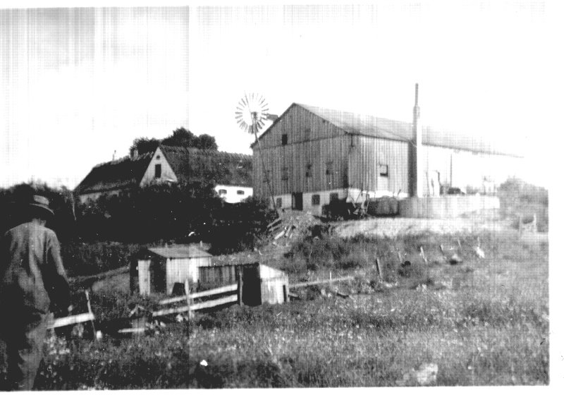 Photograph