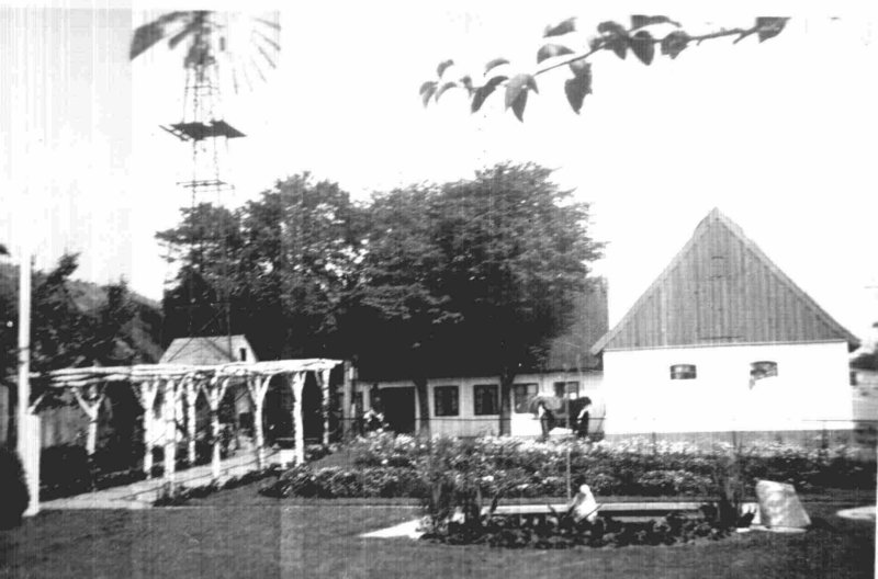 Photograph